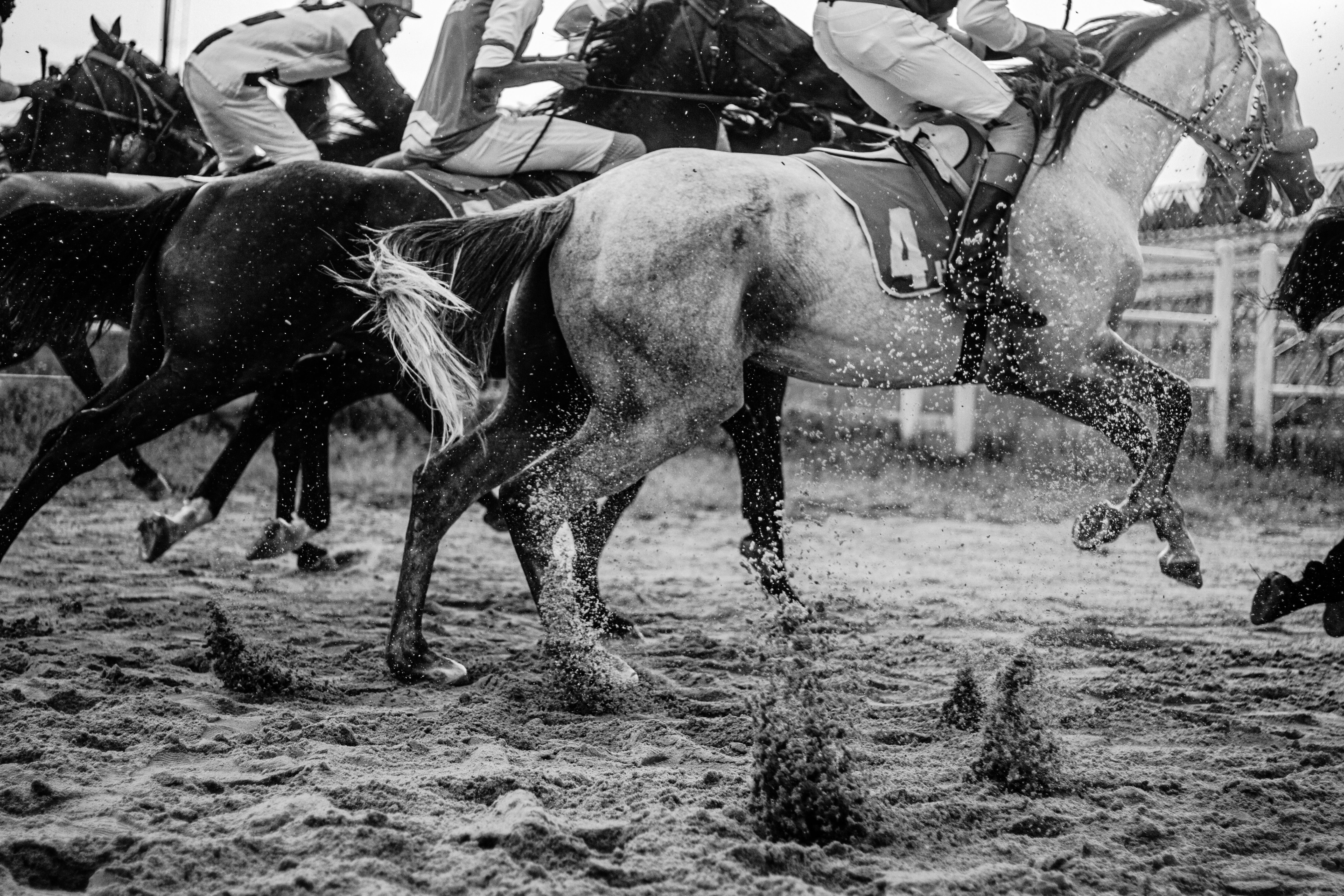 Exciting black and white photo capturing the action of a horse race in full stride.