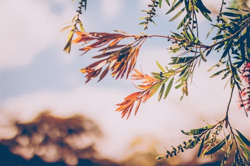 Central Illinois Enjoys Perfect Weather For Outdoor Plans