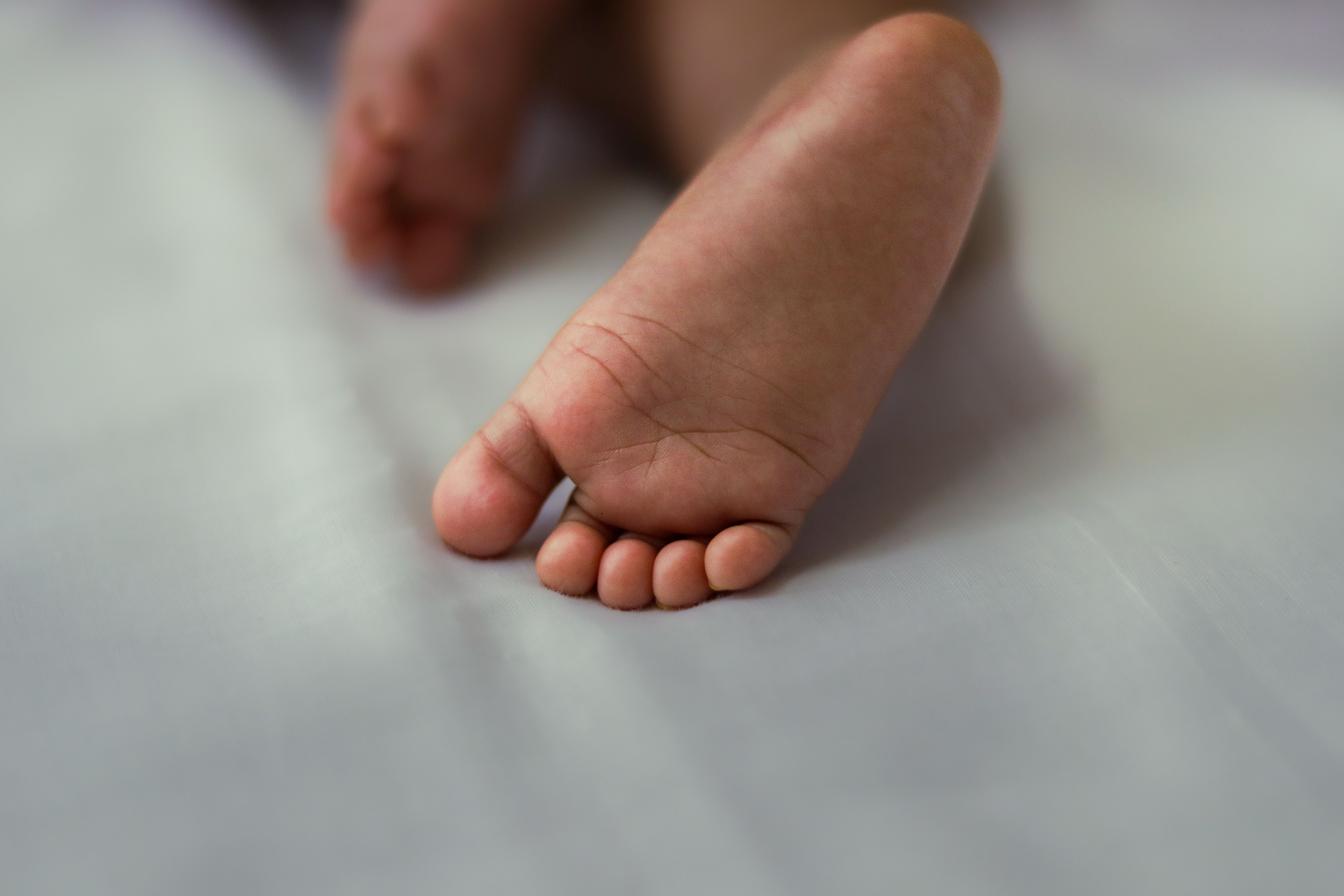 Surrogate Fights for Custody After Birth Amid Dispute with Parents