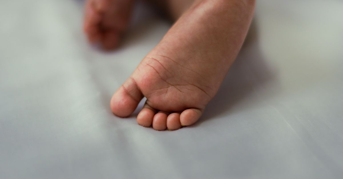 Surrogate Fights for Custody After Birth Amid Dispute with Parents