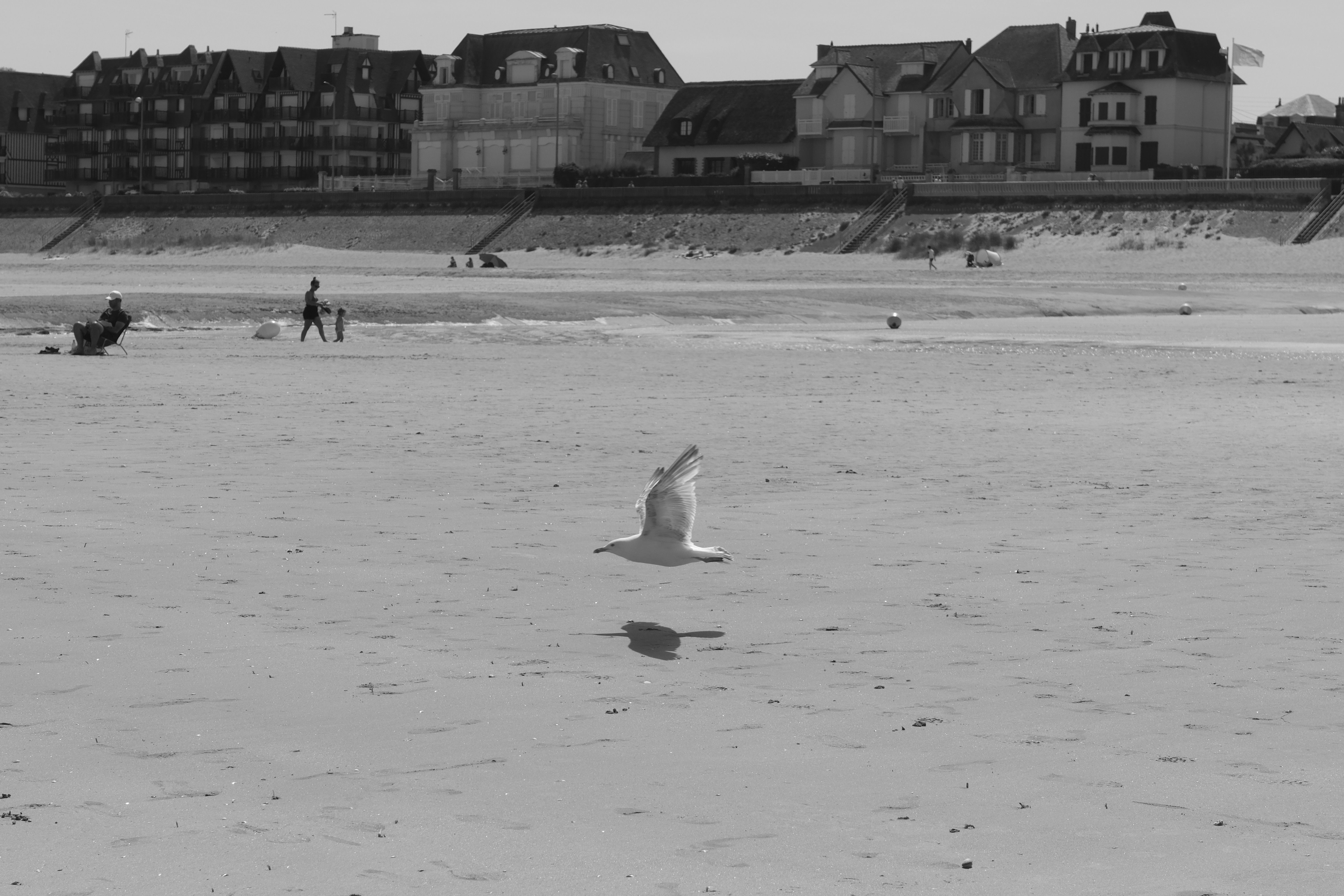 Airport transfers in Normandy