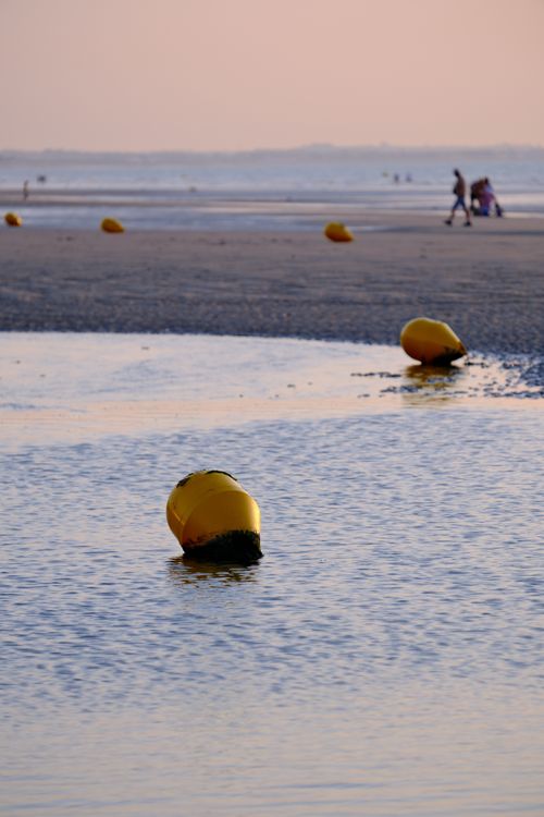 Free A tranquil scene at Cabourg Beach during sunset with yellow buoys in view. Stock Photo