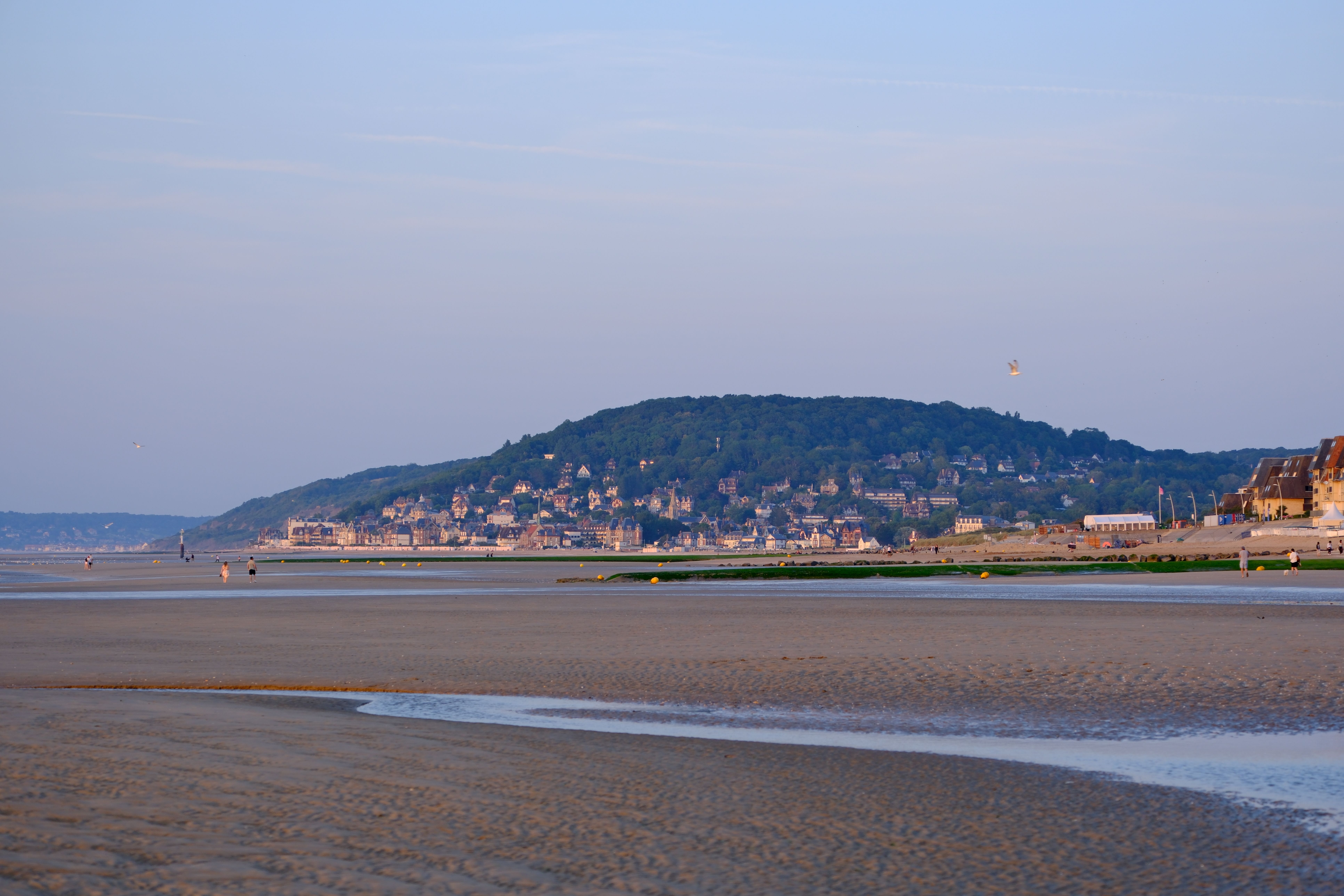 Paysage 1