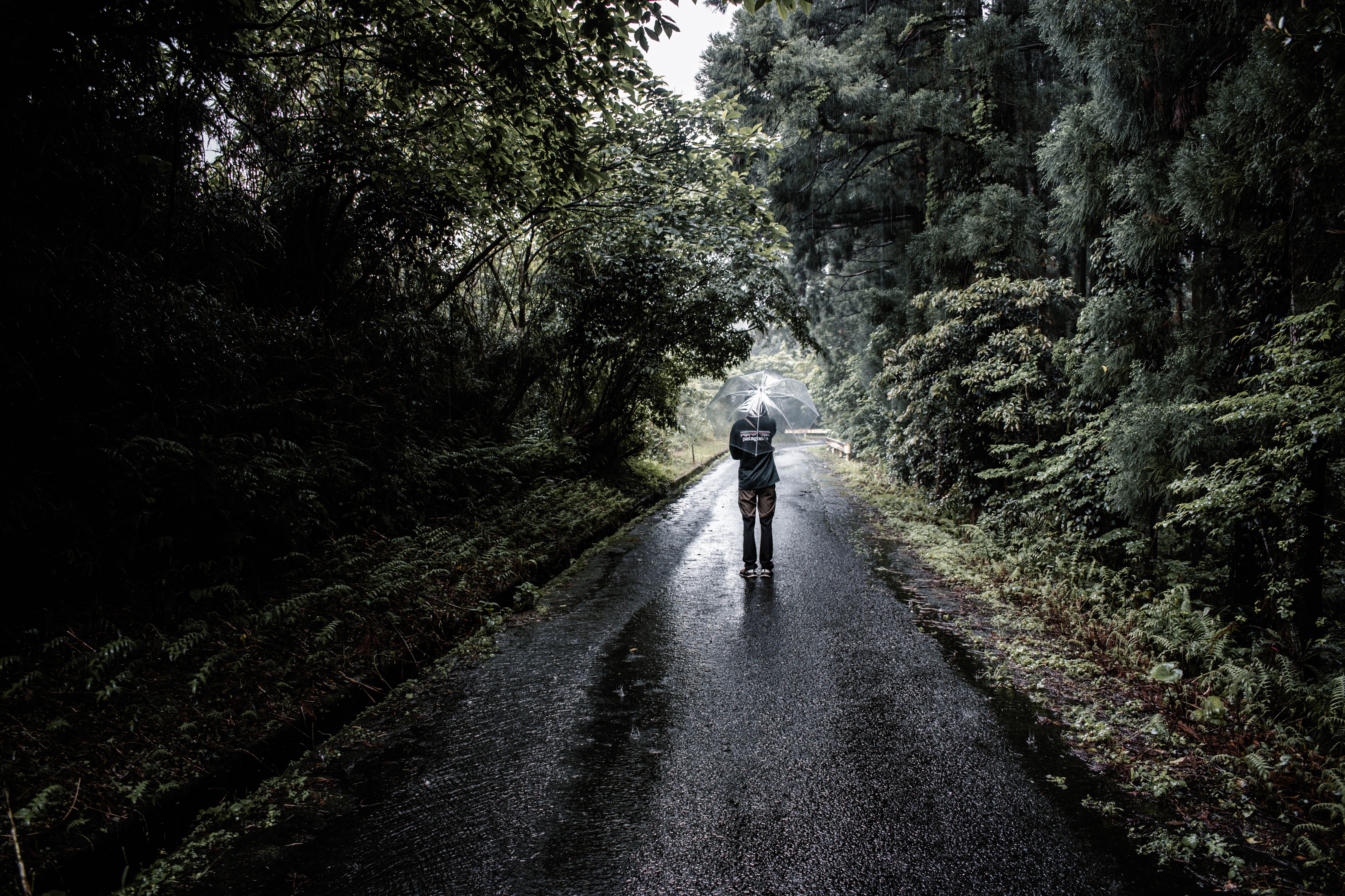 A solitary figure with an umbrella walks down a rainy forest road in Yakushima, Japan.