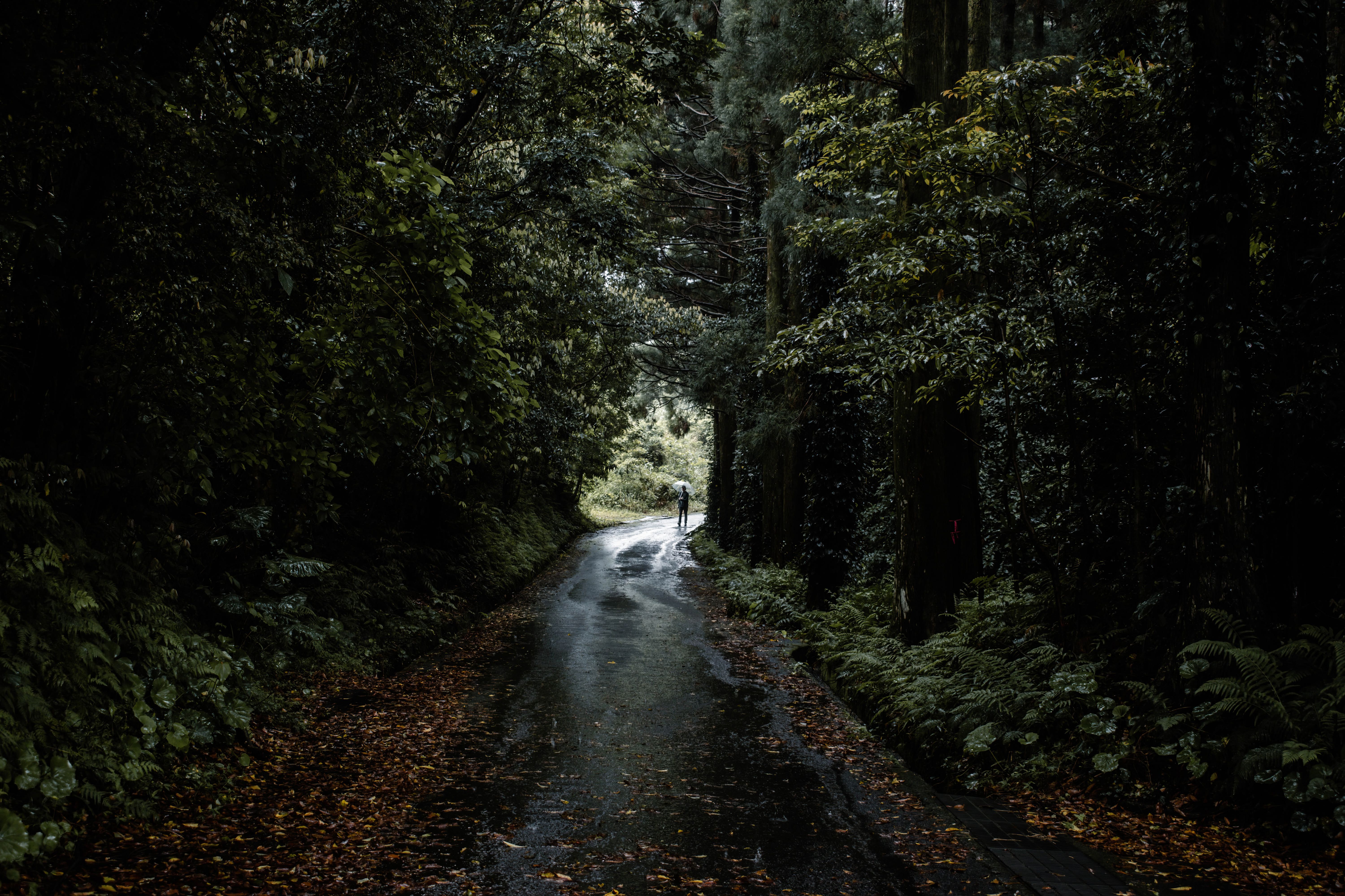 Yakushima