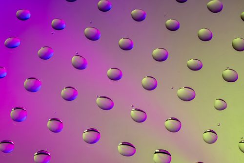 Free Water droplets on a vivid purple and green background, creating an abstract pattern. Stock Photo