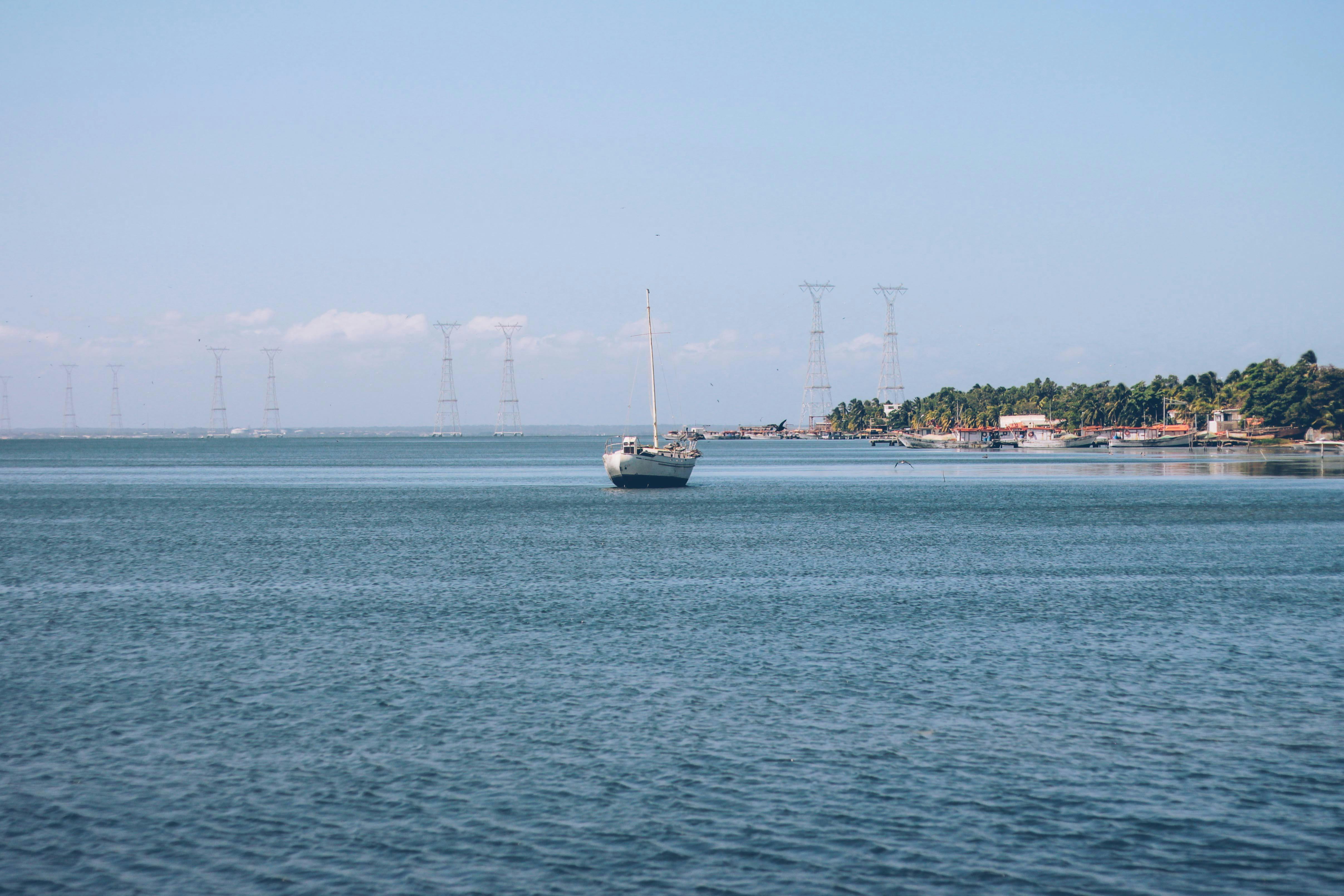 Жінка медитує, оточена зеленню