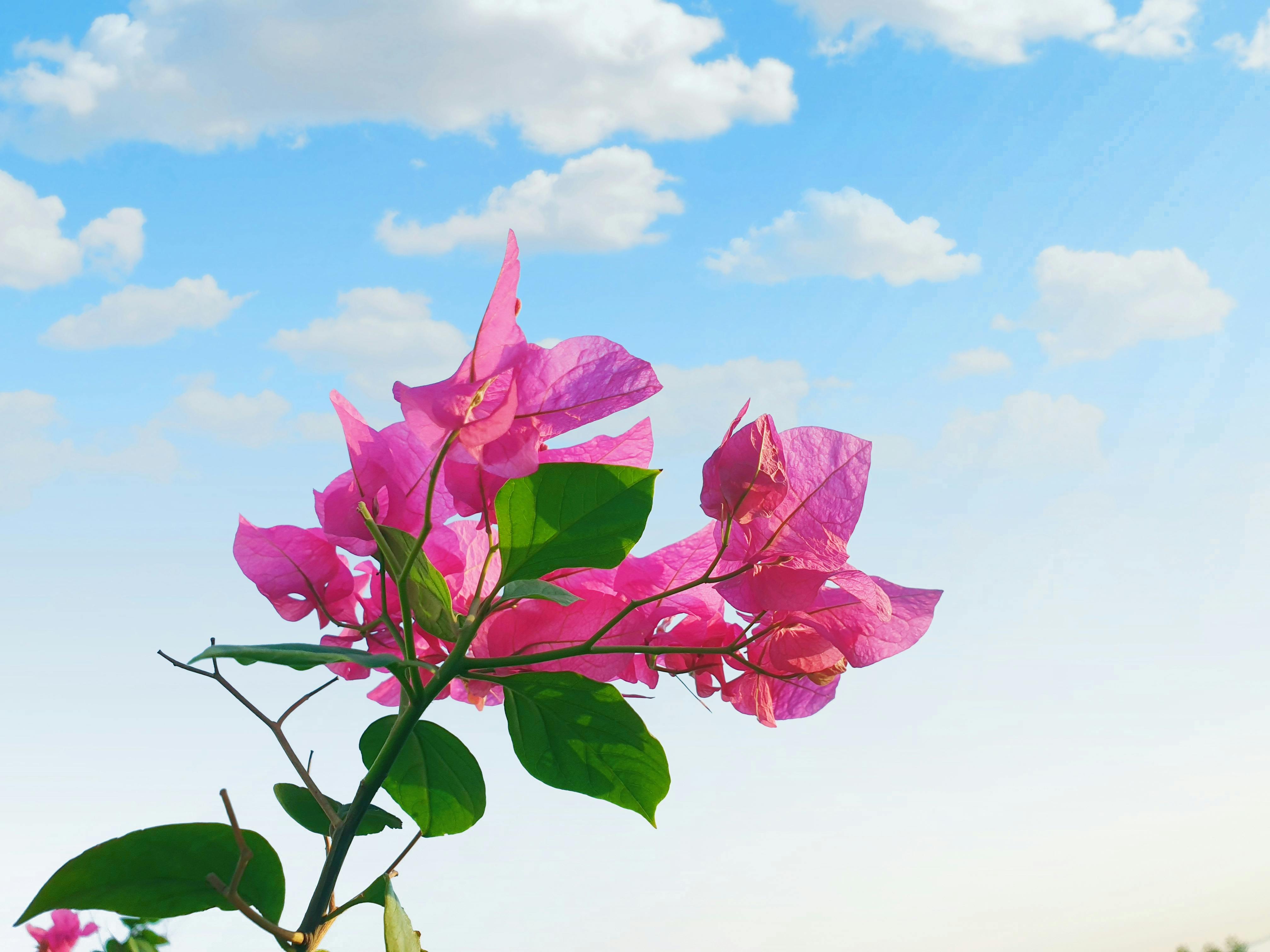 Two business professionals reviewing waste management reports