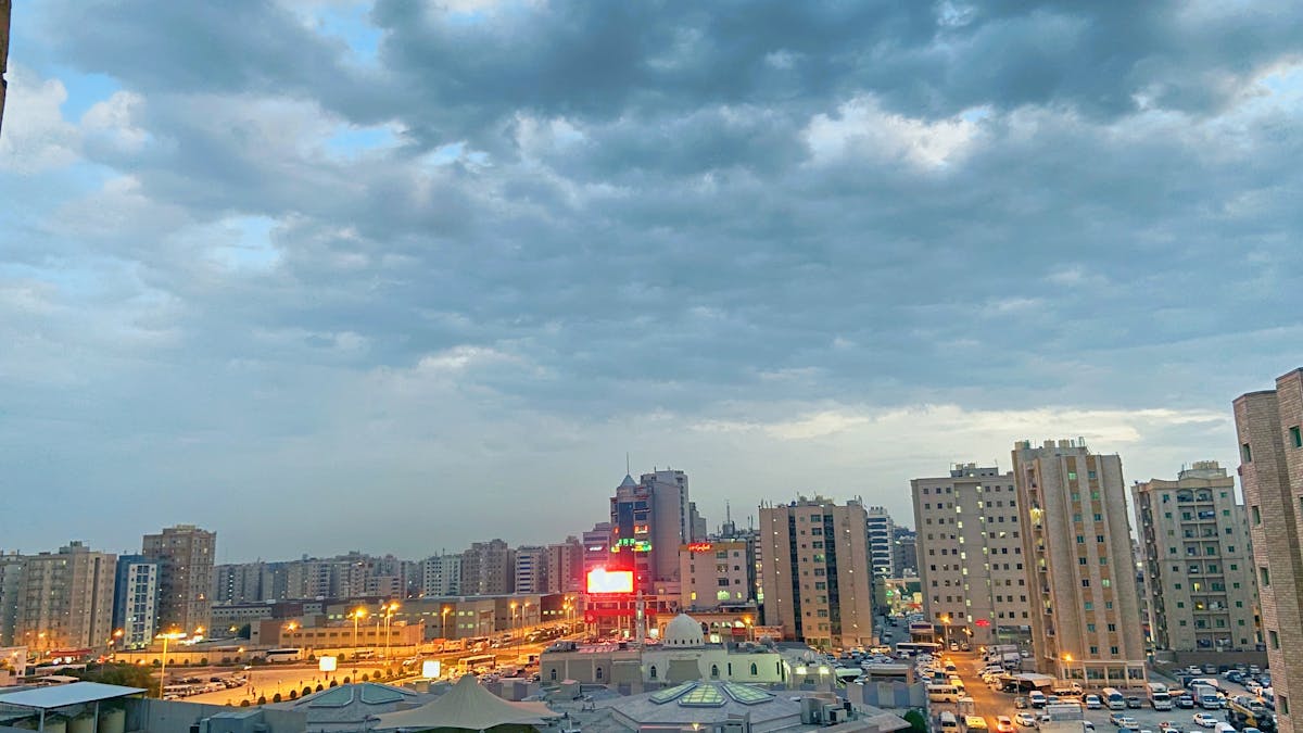 Person shopping for high-protein foods at a grocery store