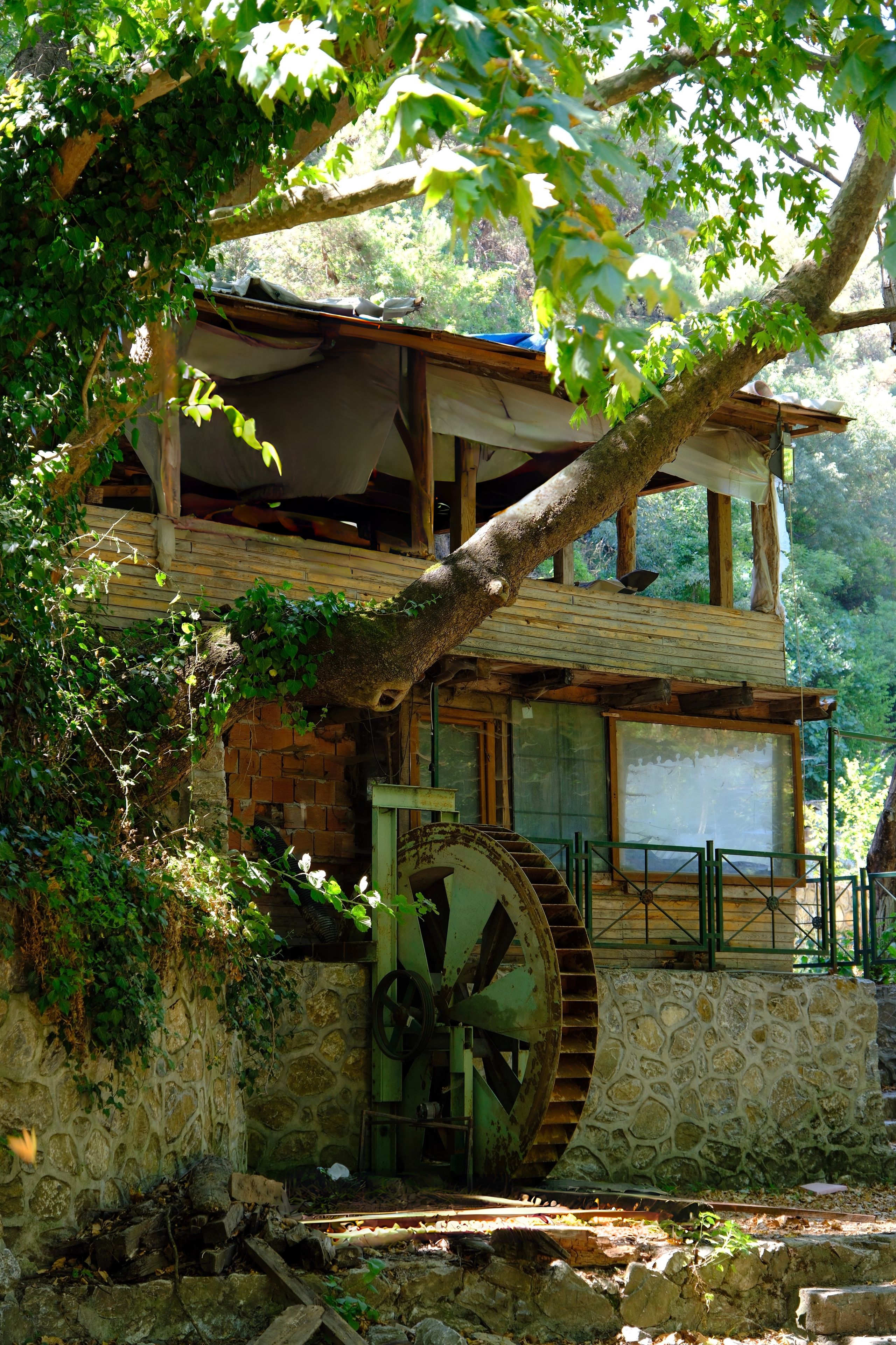 A serene rustic wooden watermill house amidst green foliage in Bursa, Türkiye.