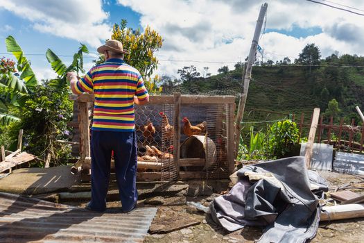 Coffee farm day trip (from Cartagena+) — Cartagena