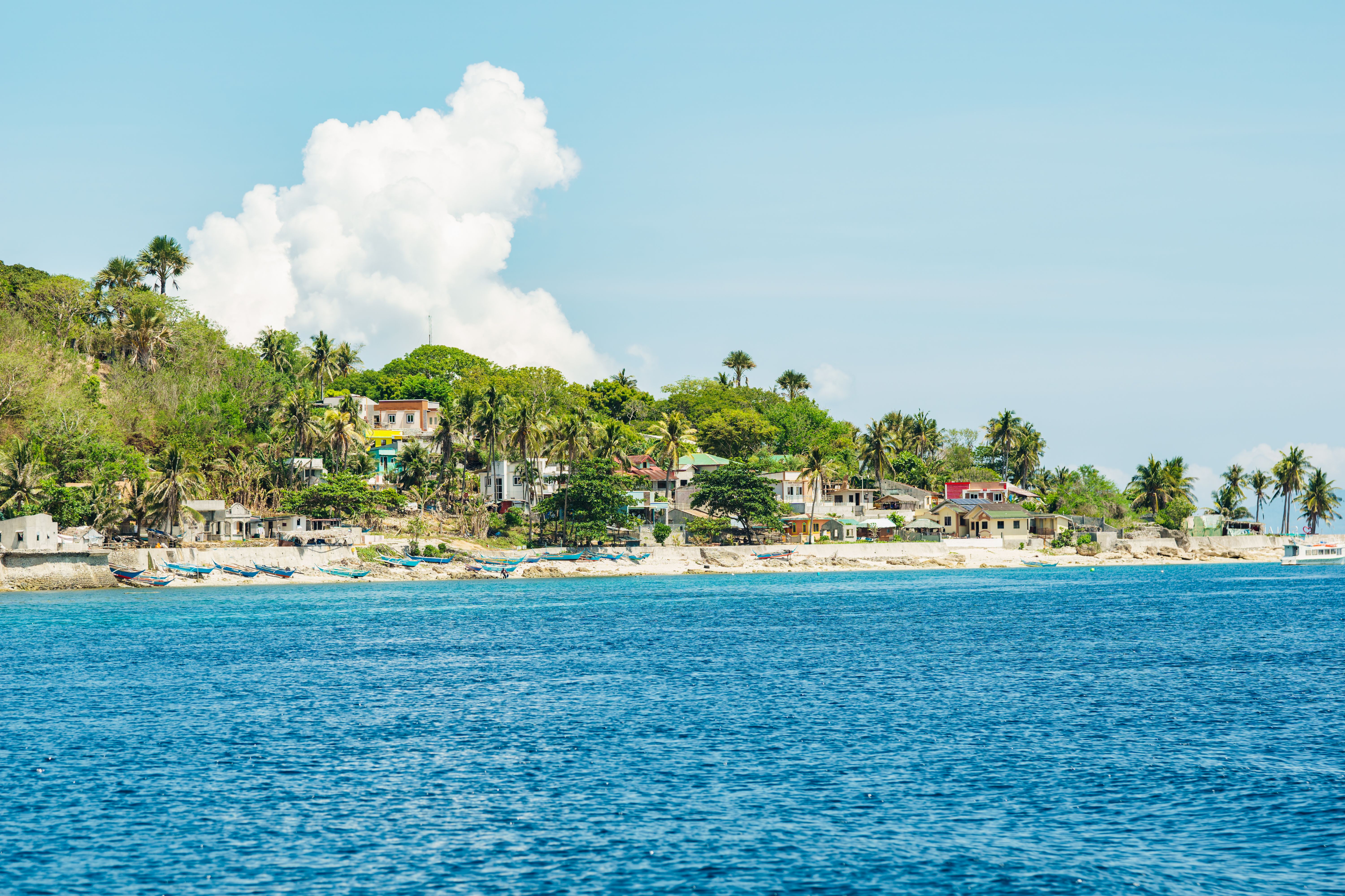 Picturesque coastal village with palm trees along a tropical beach under a bright summer sky.