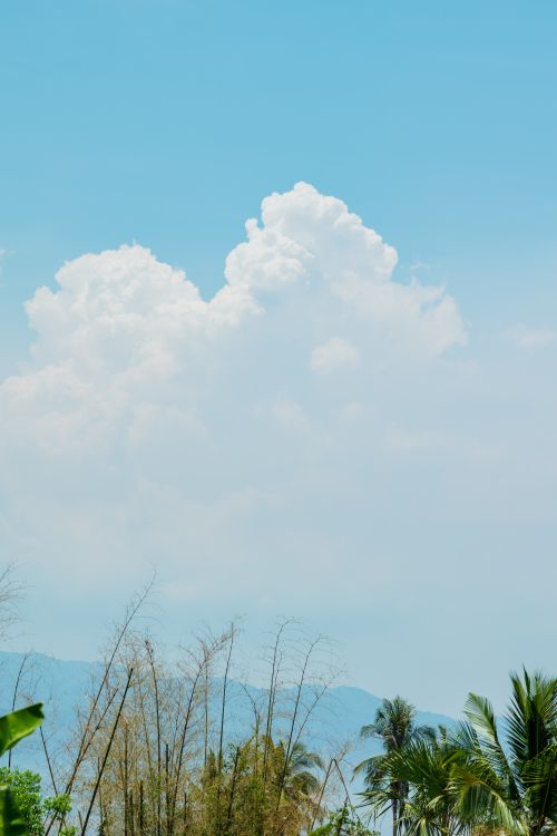 Free Bright blue sky with fluffy clouds over a tropical landscape featuring palm trees. Stock Photo