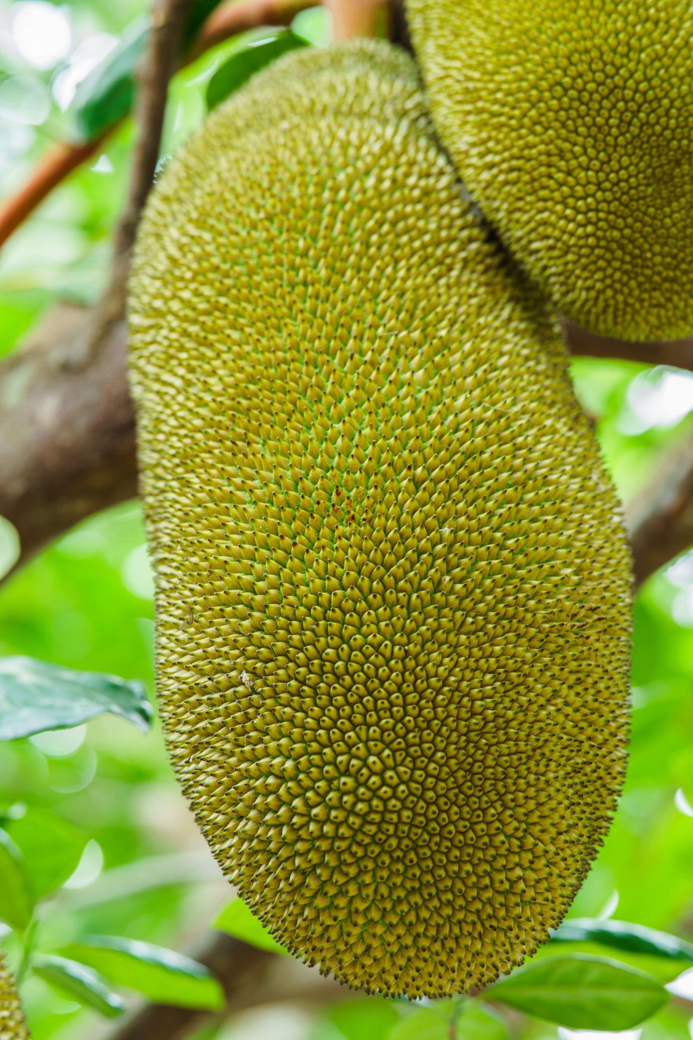 ภาพประกอบ ข้อผิดพลาดที่พบบ่อย