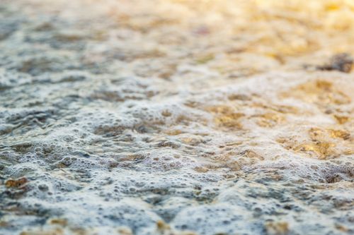 Free A detailed view of sunlight reflecting off a foamy water surface, creating an abstract texture. Stock Photo