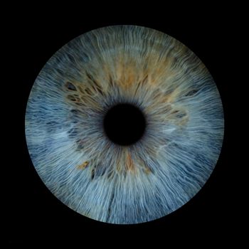 Genetically Transmitted Conditions Test: 