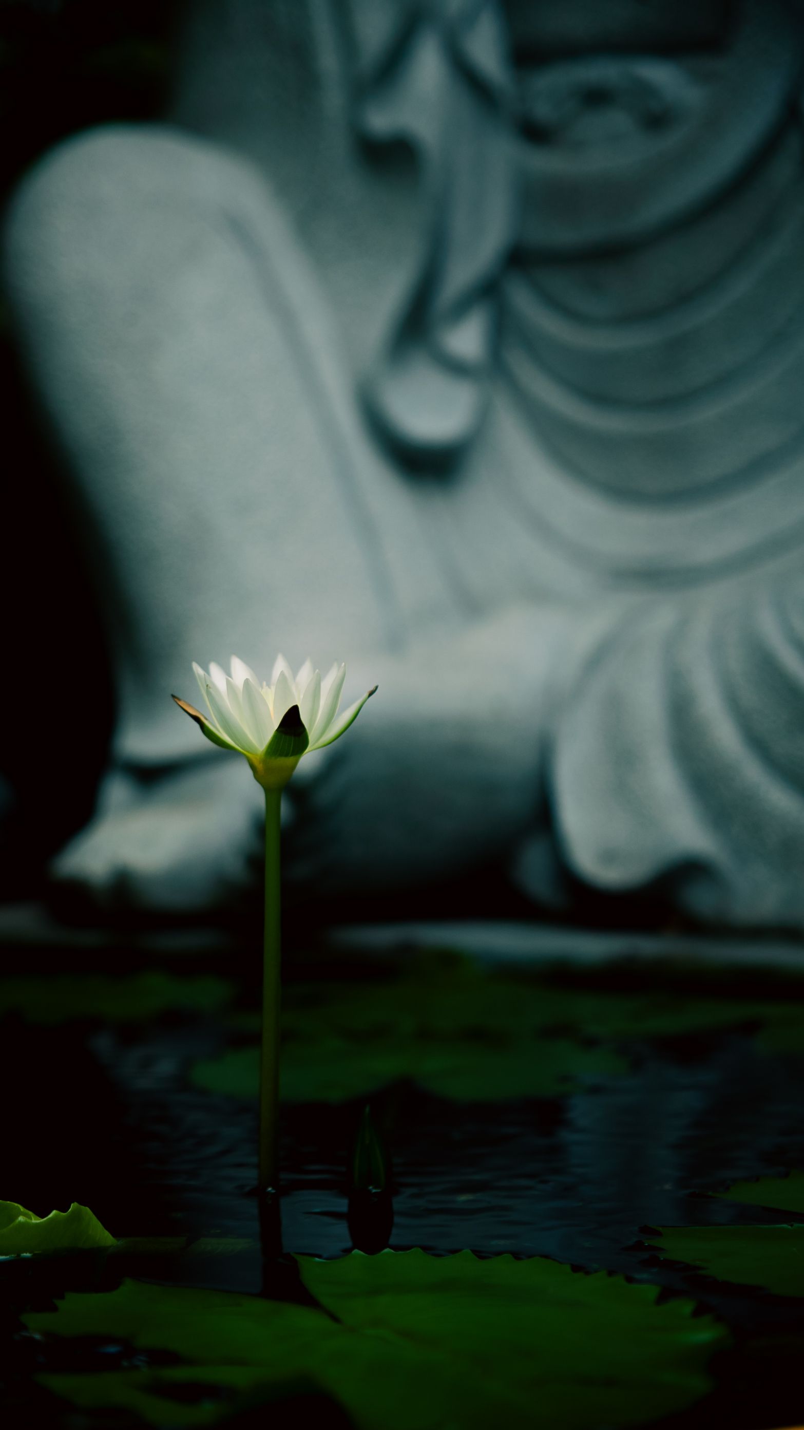 Fotomural Fotolia