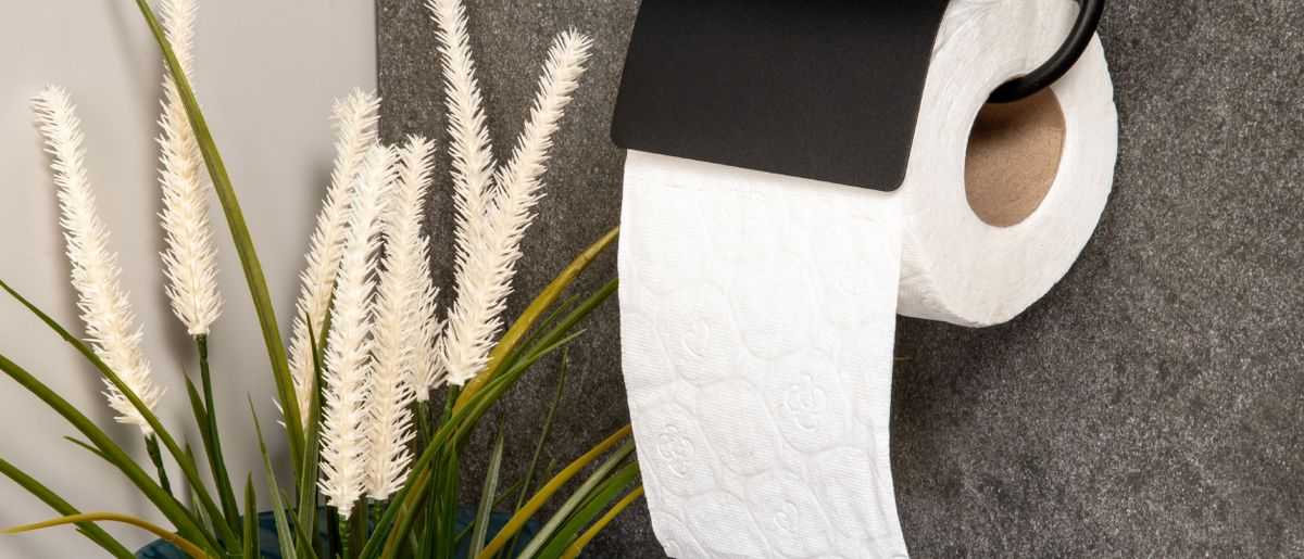 Toilet paper holder installed on a bathroom wall in a DMV home