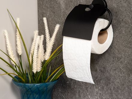 Toilet paper holder on a bathroom wall
