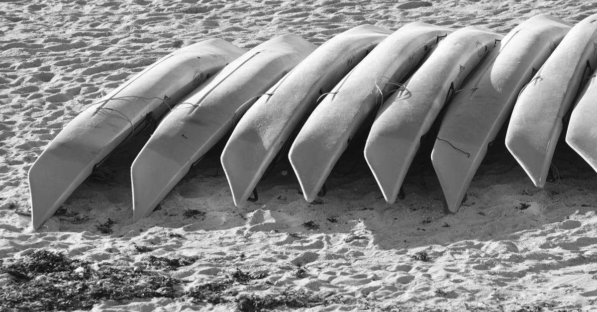 Free stock photo of canoes, eau, loisirs