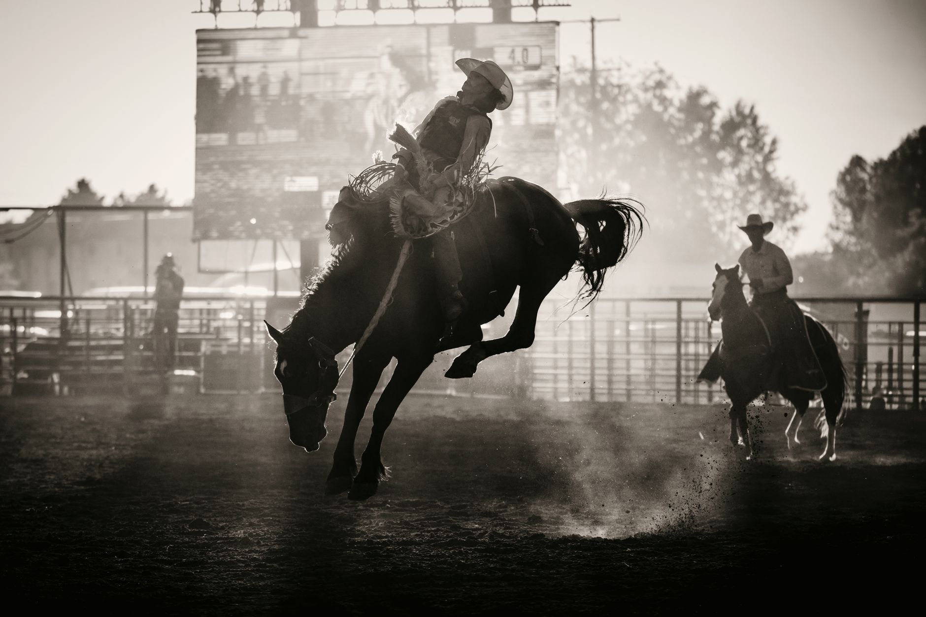 Bozeman photo 2
