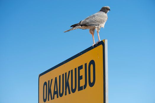 Windhoek