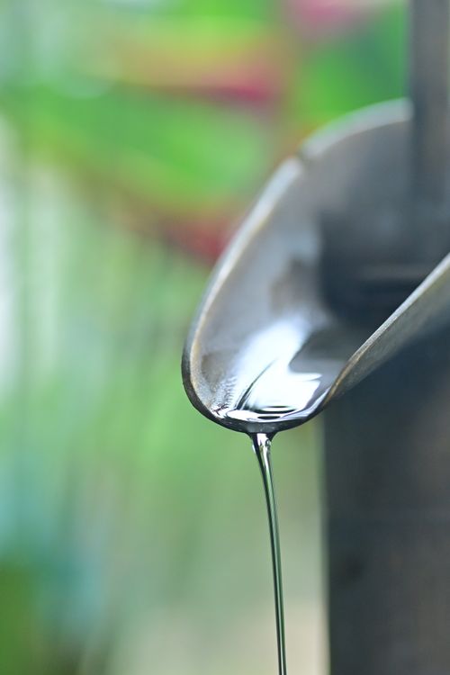 Free Close-up of a serene bamboo water spout with a stream of water, set against blurred greenery. Stock Photo