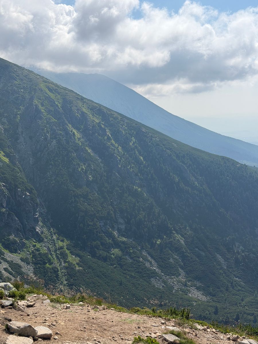 Zelené travnaté svahy hor pod jasnou oblohou v létě