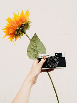 A hand with red nails holds a sunflower and a vintage camera against a white backdrop.
