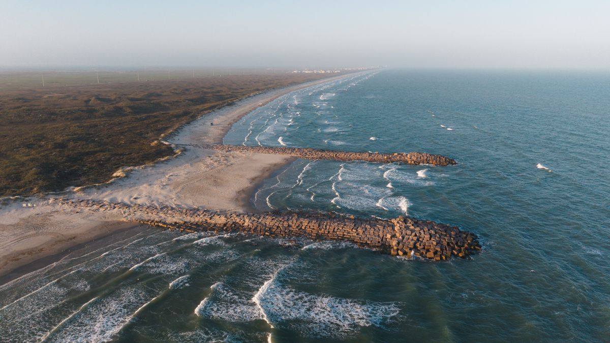 Top Corpus Christi, TX Holiday Giveaways With No Purchase Necessary: Safe Entry Guide