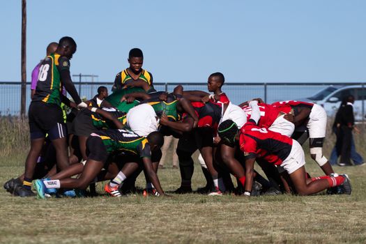 Rugby players engaged in a scrum during an outdoor match, showcasing teamwork and sportsmanship.