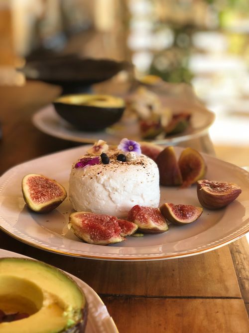Free Delicious gourmet cheese served with ripe figs, perfect for a refined taste palette. Stock Photo