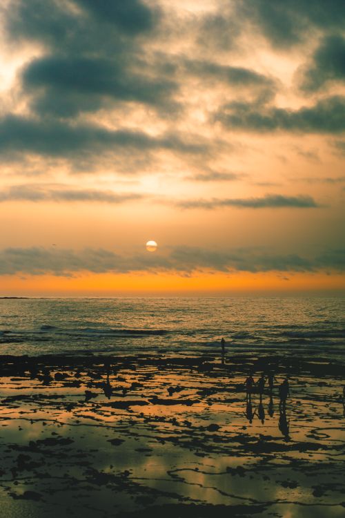 Free Golden sunset over Casablanca beach with silhouettes, capturing serene beauty and vibrant colors. Stock Photo