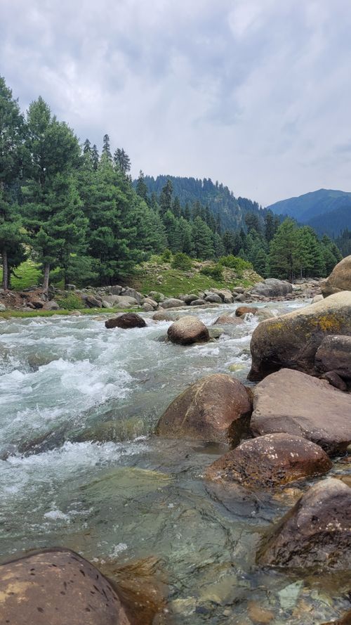 Free Beautiful view of a clear mountain river surrounded by lush forests in Gulmarg, Kashmir. Stock Photo