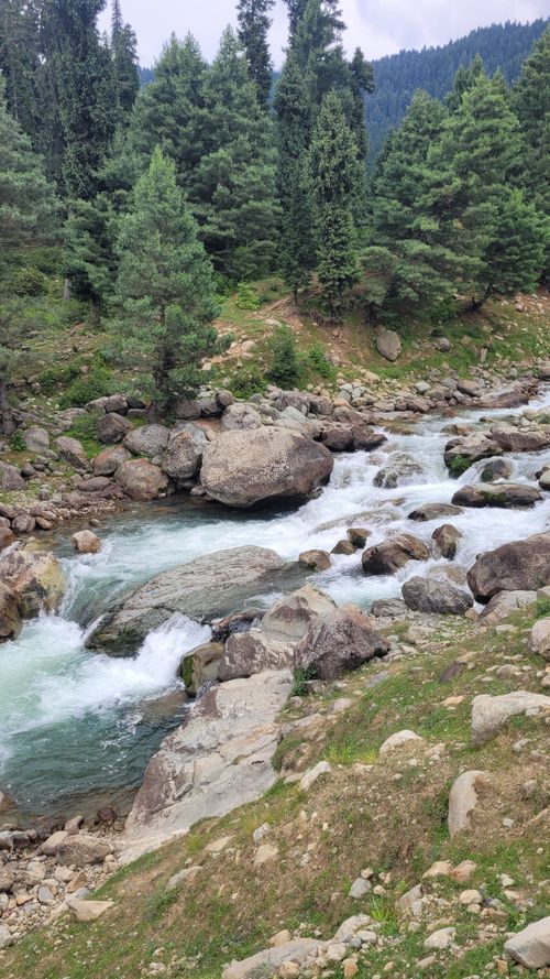 Free Beautiful river flowing through a lush forest landscape in Gulmarg, perfect for nature and travel imagery. Stock Photo