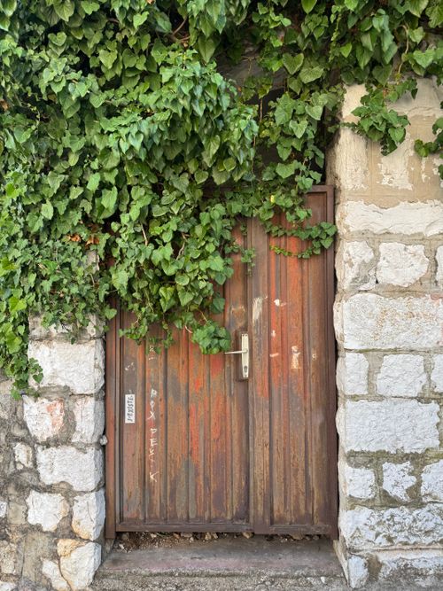 Free Charming rustic wooden door framed by lush ivy in Montenegro, perfect for travel and nature themes. Stock Photo