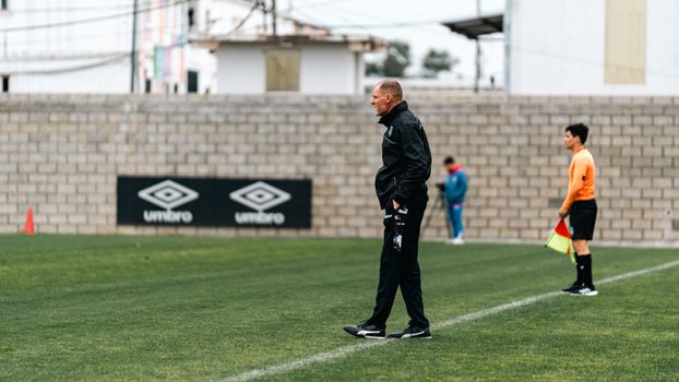 Martin O'Neill on the touchline demonstrating his tactical approach during a match.