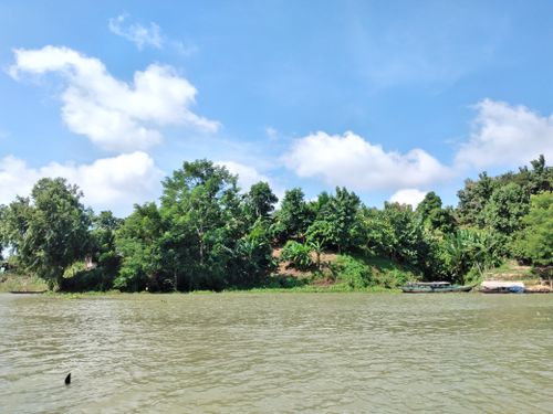 Free Serene riverside landscape with lush green trees and a clear blue sky, perfect for nature themes. Stock Photo