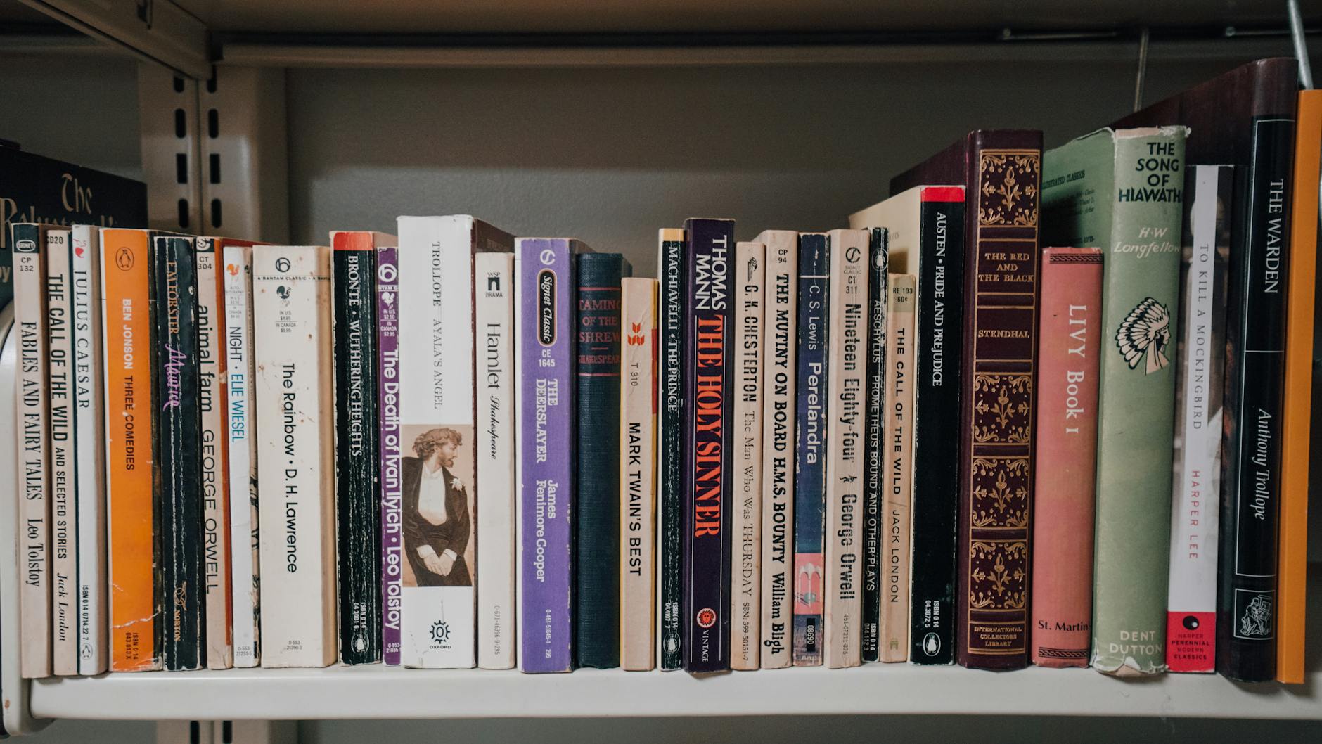 A diverse collection of classic literary books on a shelf, ideal for libraries and reading enthusiasts.