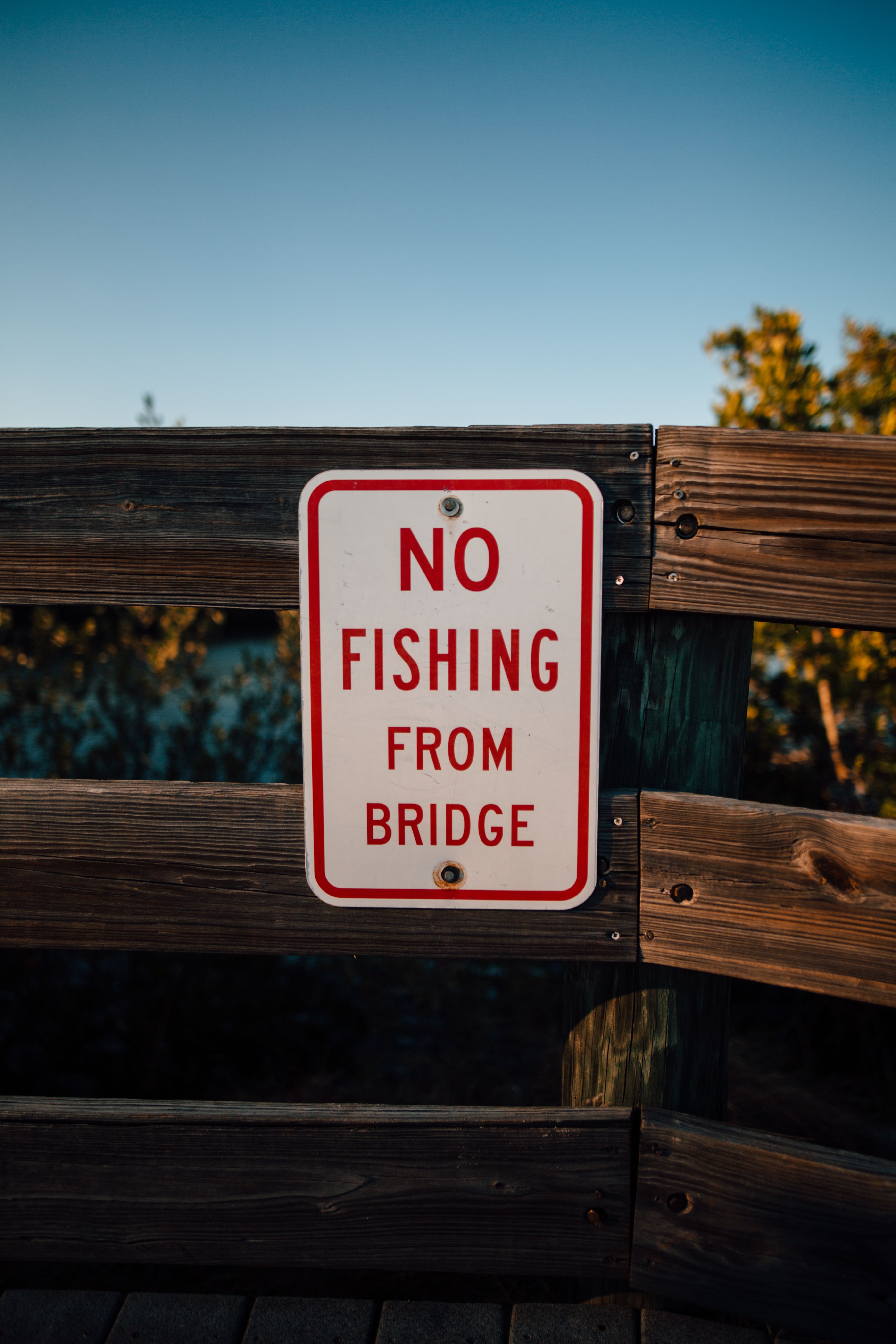 Red And White No Fishing From Bridge Sign · Free Stock Photo