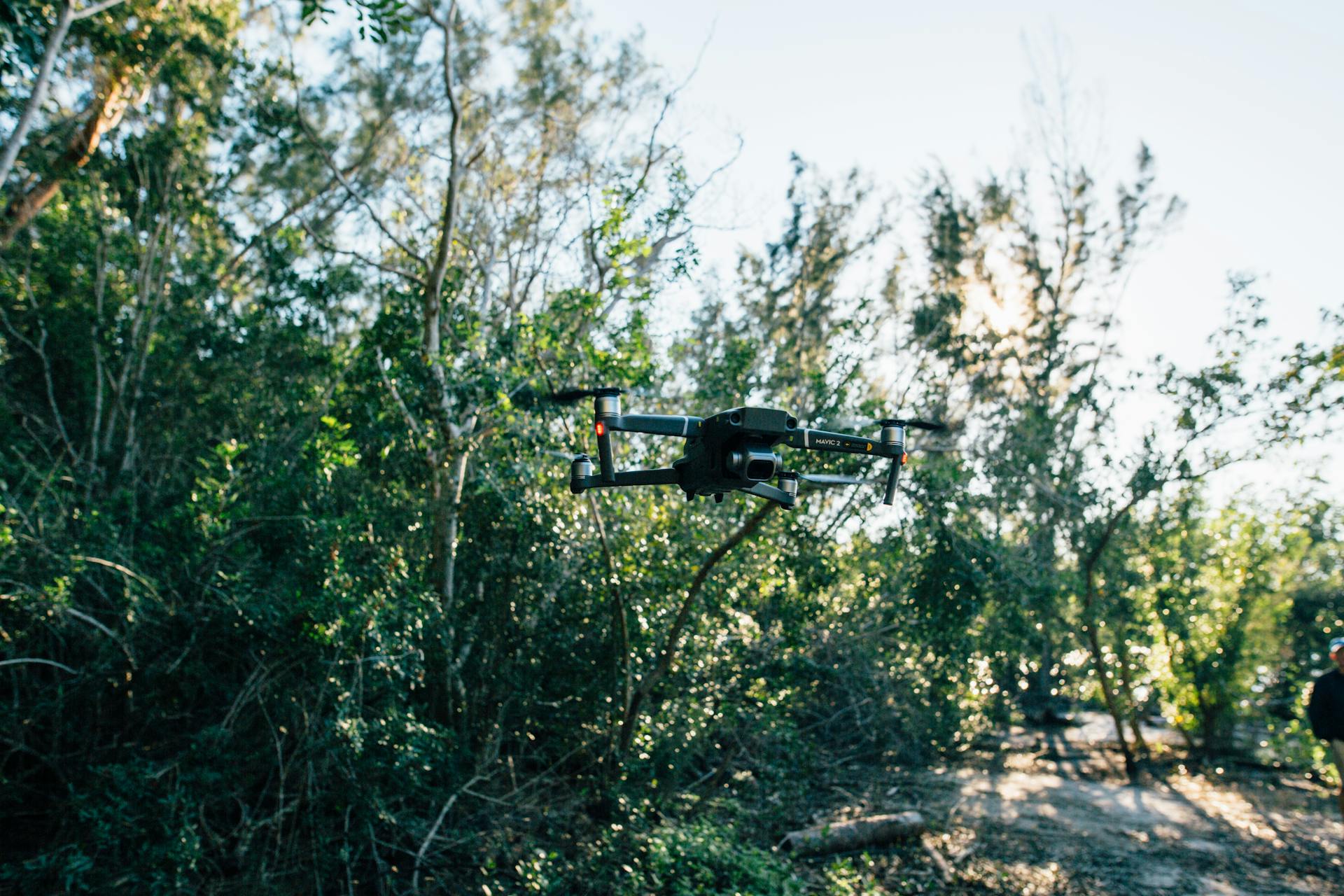 A drone hovering in a sunlit forest, showcasing aerial technology.