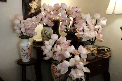 Free Beautiful pink lotus flowers arranged in decorative vases indoors, creating a serene and artistic scene. Stock Photo