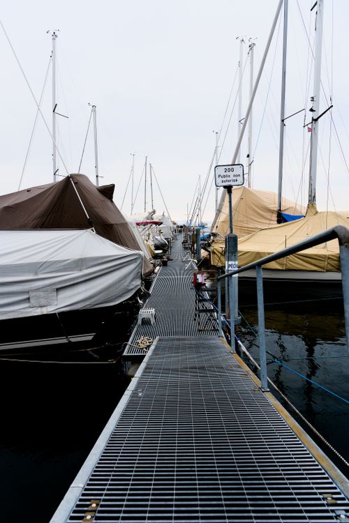 Free A serene view of covered sailboats docked at a marina during a cloudy day. Stock Photo