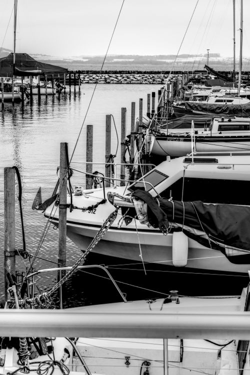 Free Monochrome image of a marina with docked sailboats and calm water. Stock Photo