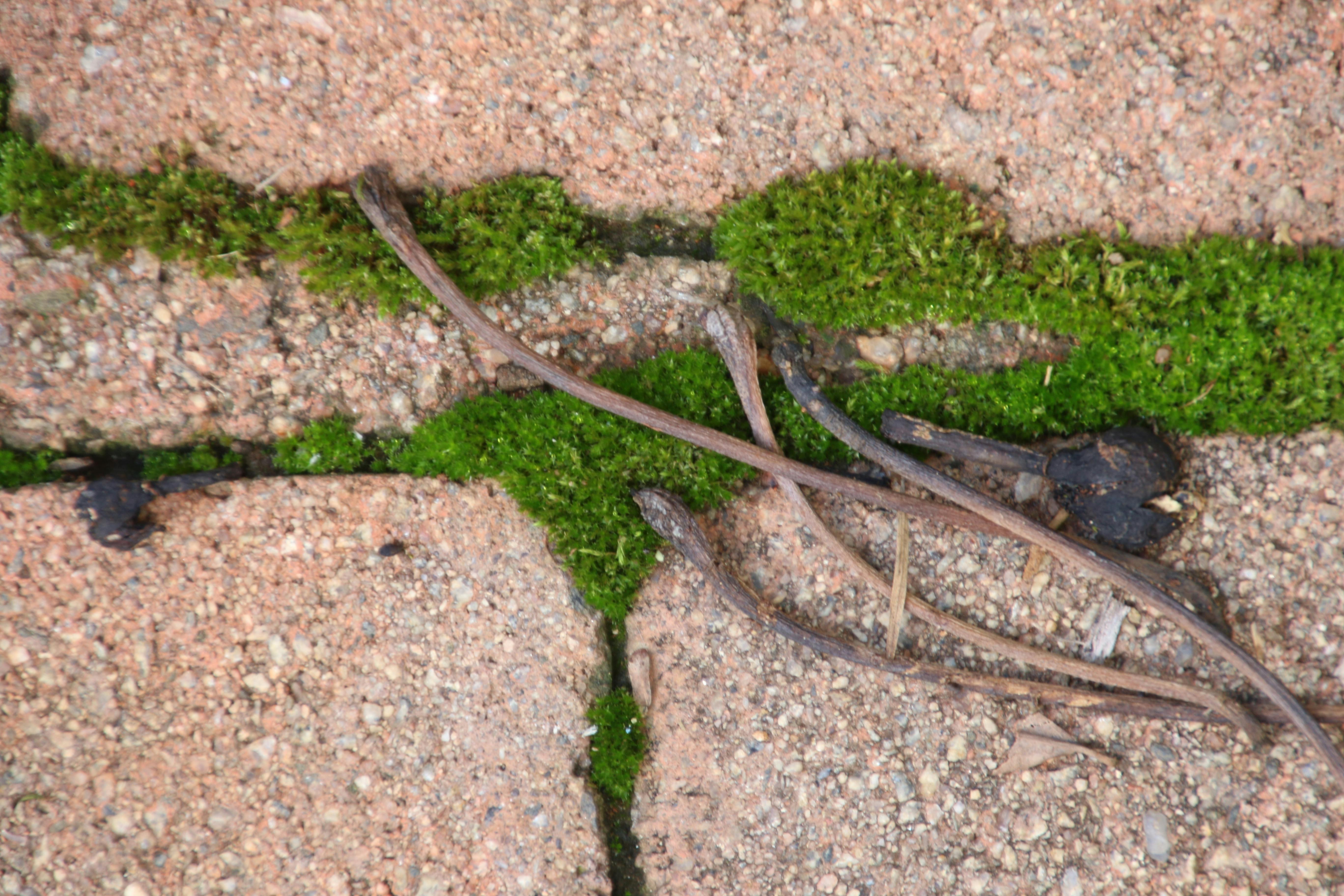 Màn hình máy tính hiển thị game FPS cao