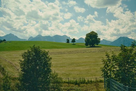 Serene view of the Bavarian countryside in summer, featuring lush fields and distant Alps.