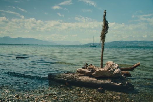 Peaceful lake scene with driftwood and distant sailboat in Lindau, Bavaria.