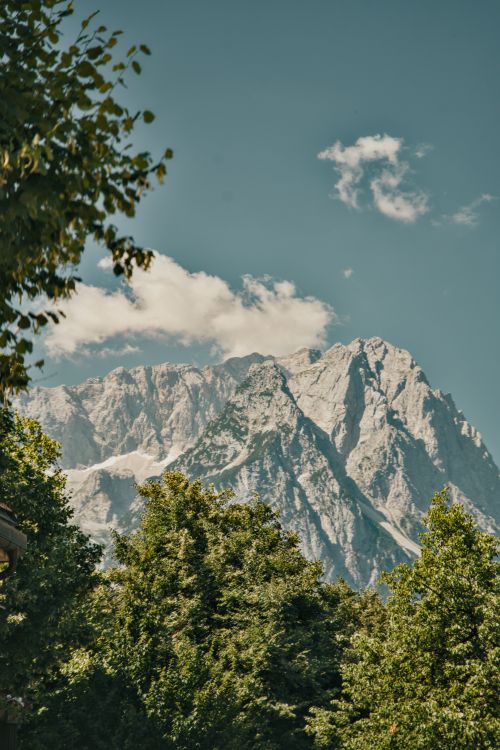 Free A stunning summer view of the Bavarian Alps in Germany, framed by lush green trees. Stock Photo