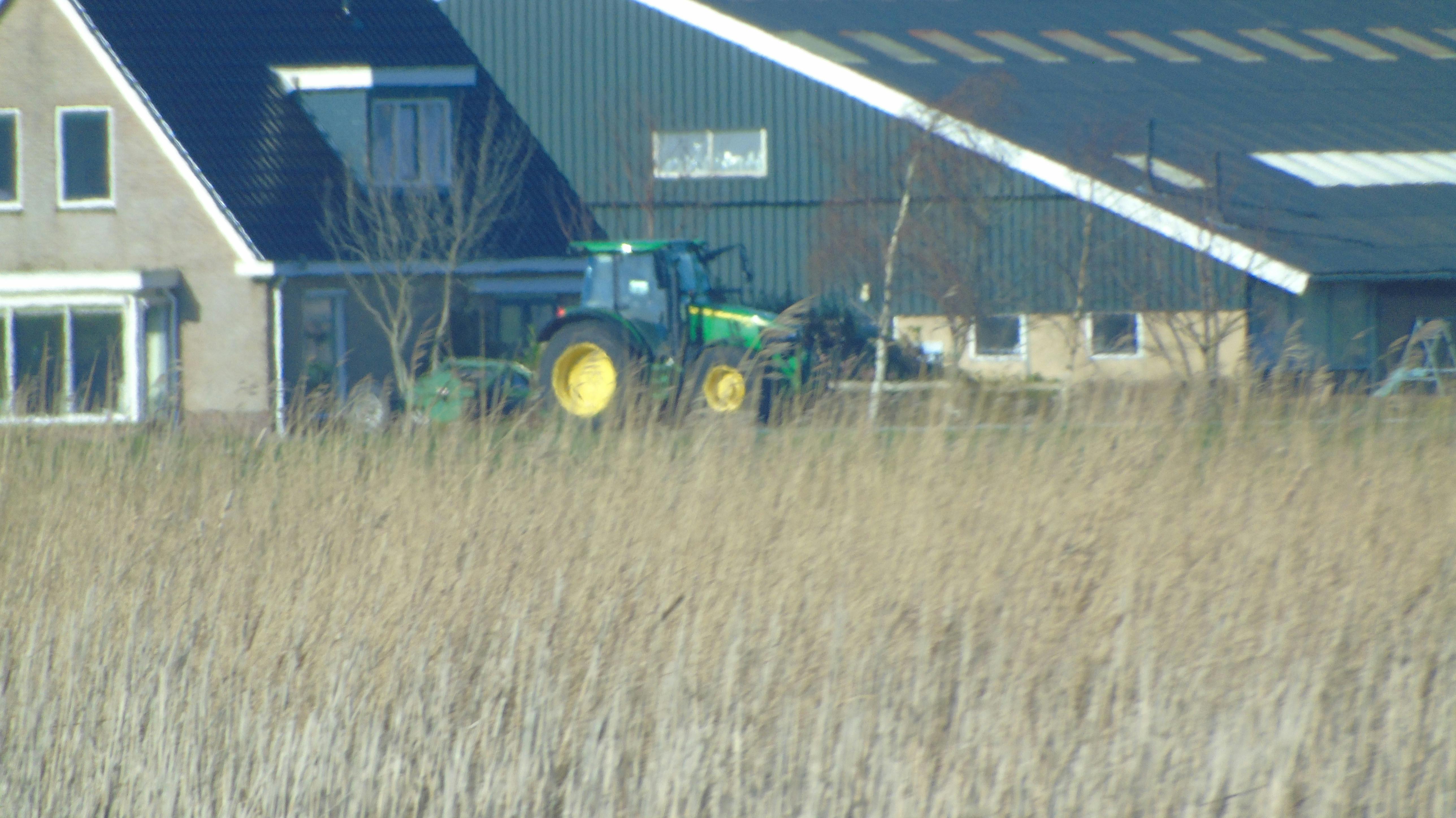 Woman checking her progress on a scale