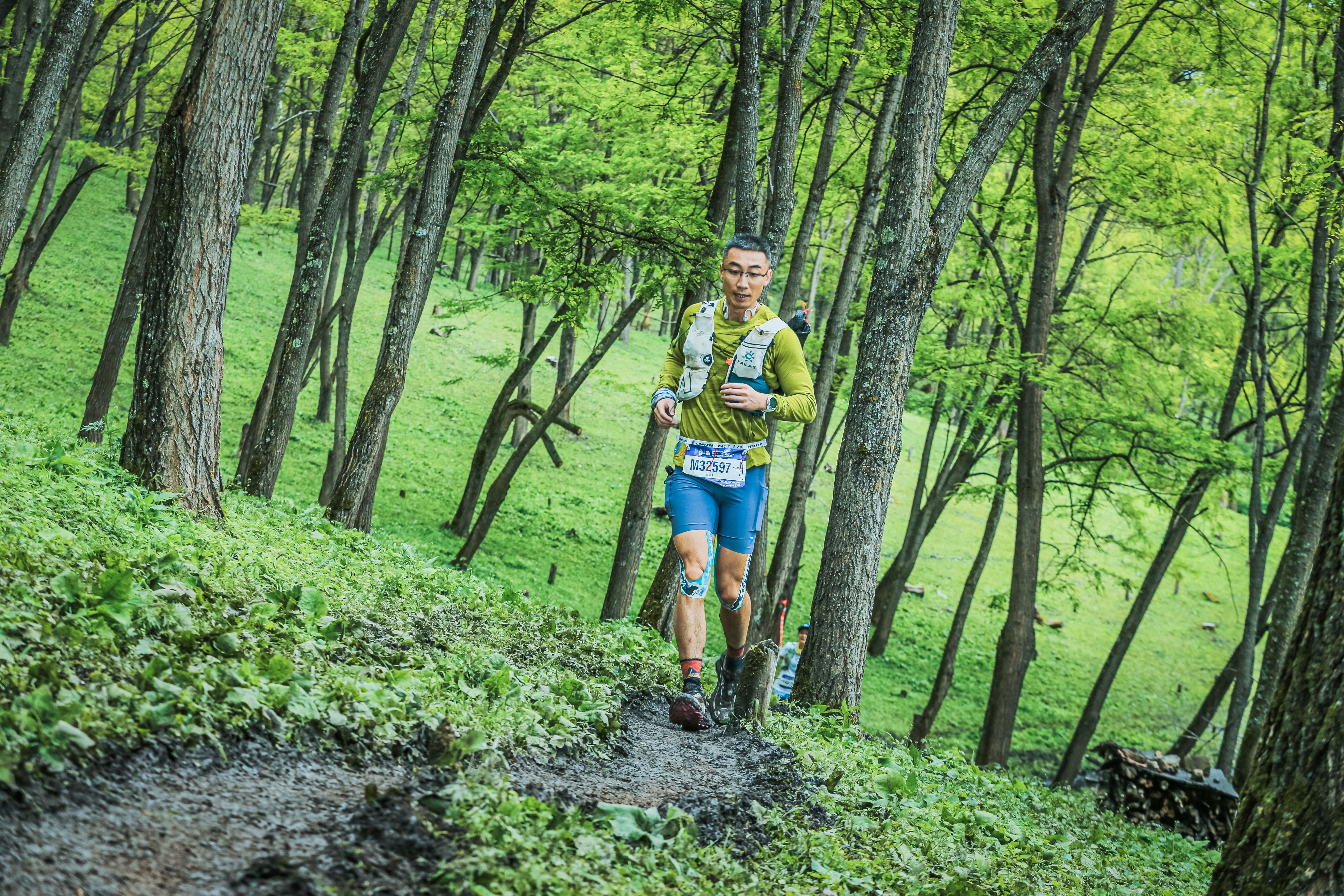 trail runner mountain forest